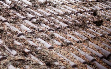 Applemore roof cleaning companies