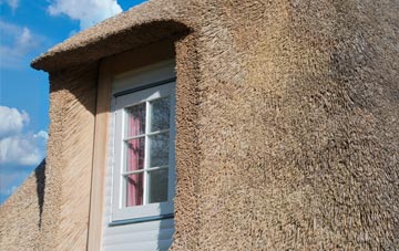 Applemore thatch roof disadvantages